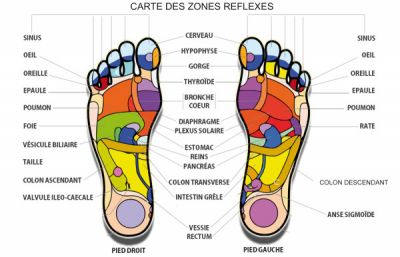 Carte des zones réflexes